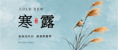 今日寒露 | 秋意浓，露凝霜